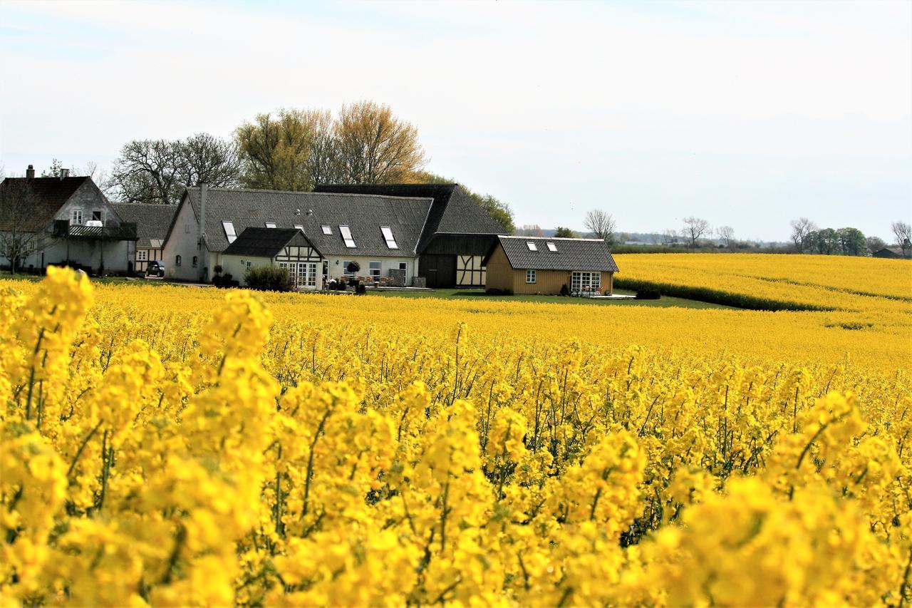 Rodkaergard Bed&Breakfast Kerteminde Exterior foto